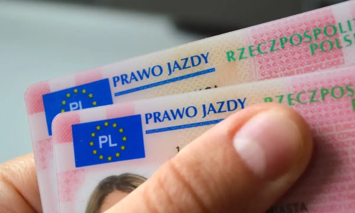 Dwa polskie prawa jazdy w ręce. Marzenie o prawo jazdy bez egzaminu staje się rzeczywistością?