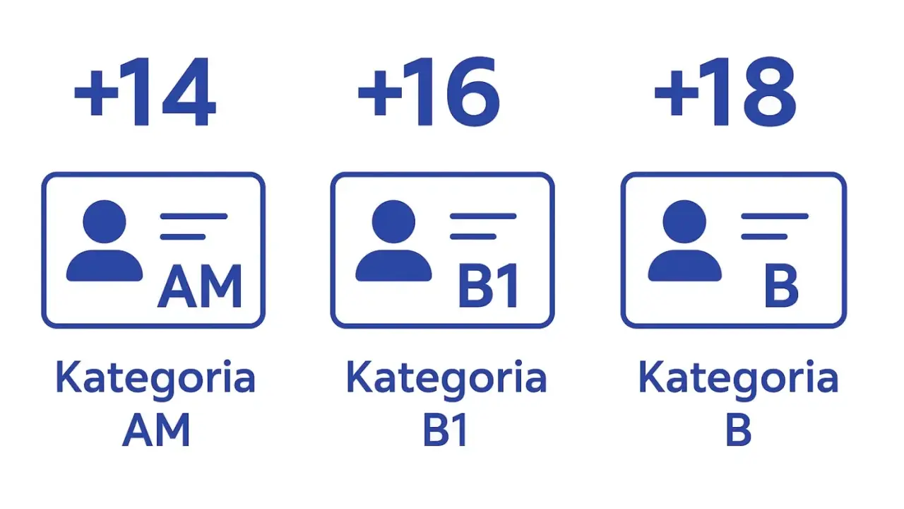 Ikony przedstawiają kategorie prawa jazdy: AM (+14 lat), B1 (+16 lat) i B (+18 lat). Kategoria pojazdu M1.