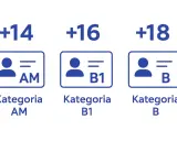 Ikony przedstawiają kategorie prawa jazdy: AM (+14 lat), B1 (+16 lat) i B (+18 lat). Kategoria pojazdu M1.