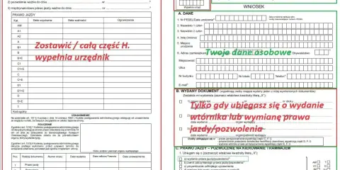 Wniosek o wydanie nowego prawa jazdy. Formularz zawiera dane urzędu, dane osobowe, informacje o wydanym dokumencie i kategoriach prawa jazdy.