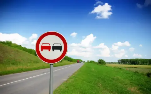 Znak zakaz wyprzedzania dla ciężarówek na tle błękitnego nieba i zielonych pól.