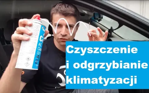 Odgrzybianie klimatyzacji samochodowej: Jak usunąć grzyb i smród?