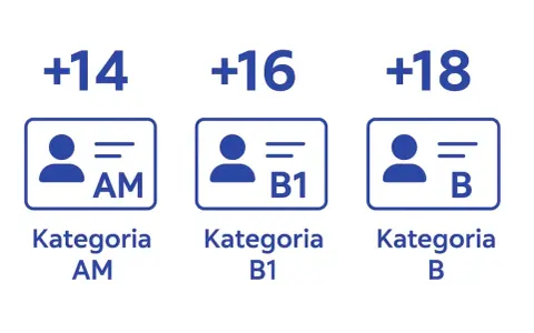 Ikony przedstawiają kategorie prawa jazdy: AM (+14 lat), B1 (+16 lat) i B (+18 lat). Kategoria pojazdu M1.