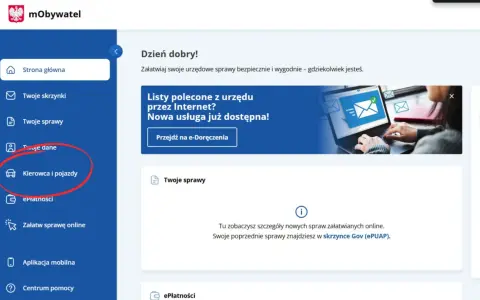 Menu mObywatel: Kierowca i pojazdy. Sprawdź swoje punkty karne online.