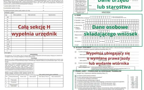 Jak zrobić prawo jazdy? Wypełnij wniosek o wydanie dokumentu, podając dane osobowe i wybierając odpowiednią kategorię pojazdu.
