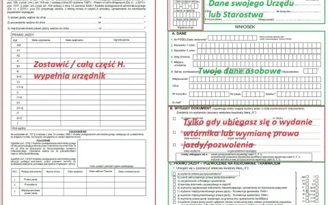 Formularz wniosku o wydanie dokumentu, gdzie zaznaczono: "Tylko gdy ubiegasz się o wydanie wtórnika lub wymianę prawa jazdy/pozwolenia".