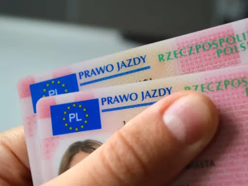 Dwa polskie prawa jazdy w ręce. Marzenie o prawo jazdy bez egzaminu staje się rzeczywistością?