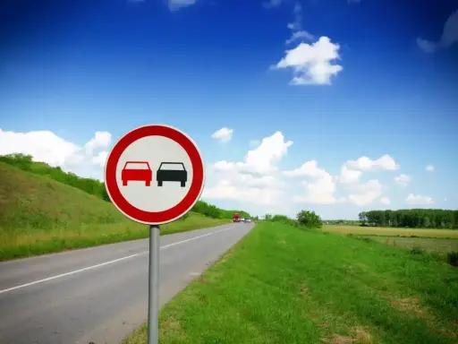 Znak zakaz wyprzedzania dla ciężarówek na tle błękitnego nieba i zielonych pól.