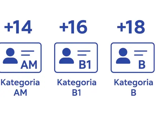 Ikony przedstawiają kategorie prawa jazdy: AM (+14 lat), B1 (+16 lat) i B (+18 lat). Kategoria pojazdu M1.