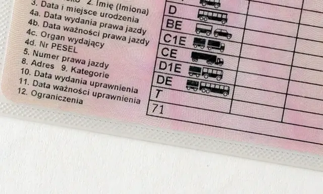 Fragment polskiego prawa jazdy z kategoriami pojazdów. Ktoś szuka zgubionego prawa jazdy, a tu widać tylko jego fragment.
