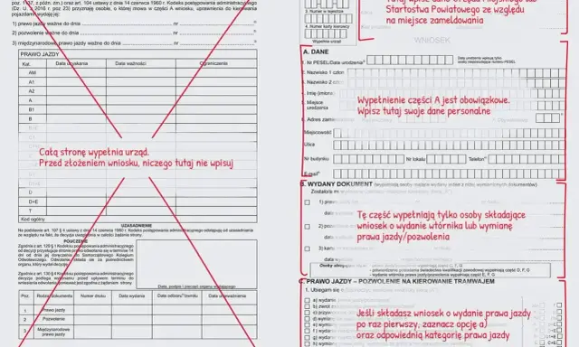 Wniosek o wydanie prawa jazdy. Wypełnij dane osobowe i zaznacz kategorię pojazdu, o który się ubiegasz.
